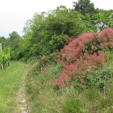 Campagnoletto Farm stay *