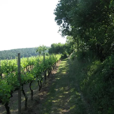 Campagnoletto Séjour à la ferme