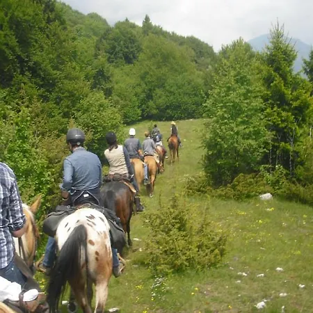 Farm stay Campagnoletto *